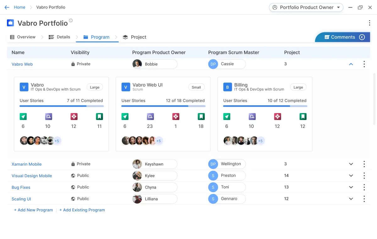 Portfolio Governance