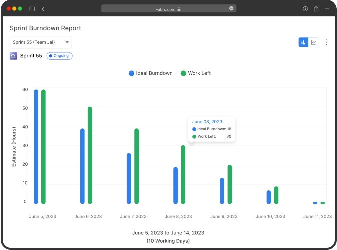 Sprint Burndown Report