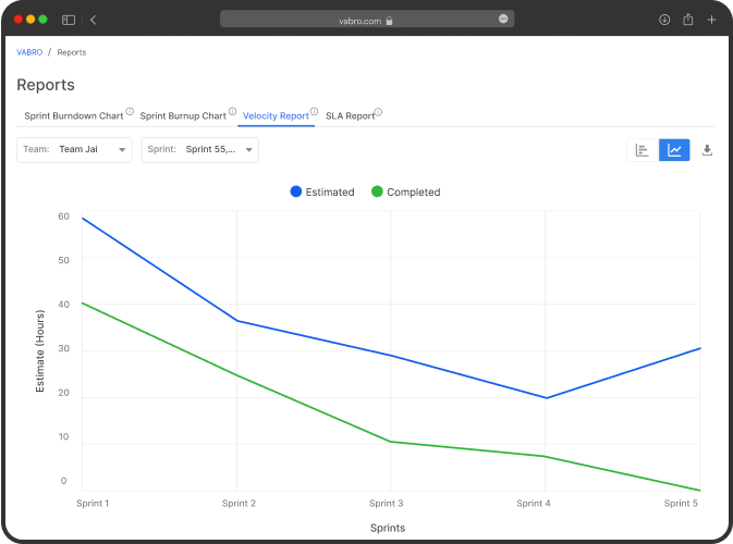 Velocity Report